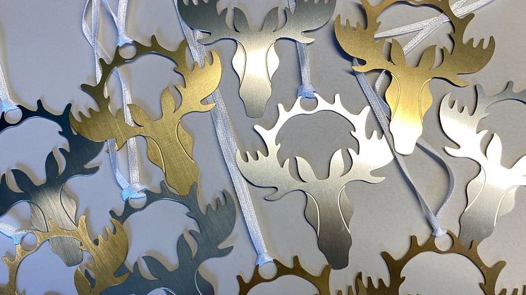 Medaljerna som vinnarna får i Allmännyttans Digitaliseringsinitiativ.