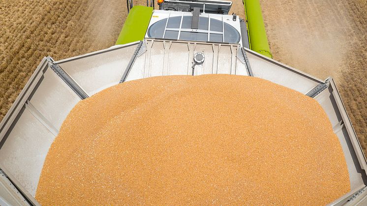 Danish Agro overskudsdeklarerer 260 mio. kr. til medlemmerne