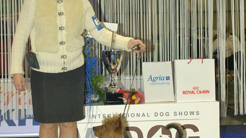 MyDOG 2012