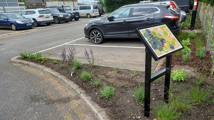Bee garden at Downham Market