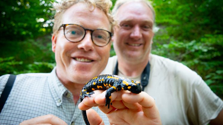 Sebastian Klein og Morten D.D. Hansen med en ildsalamanderi Thüringen
