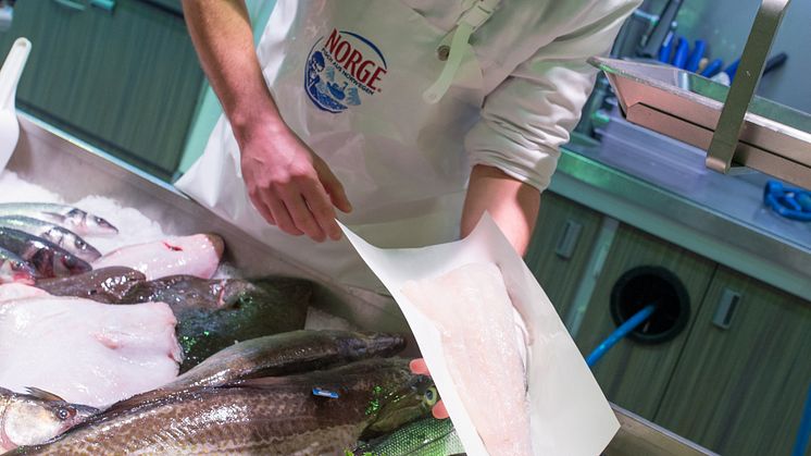 Der norwegische Skrei ist in Hamburg angekommen