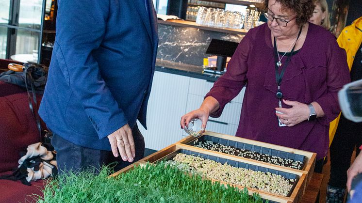 Landbruks- og matministeren smaker