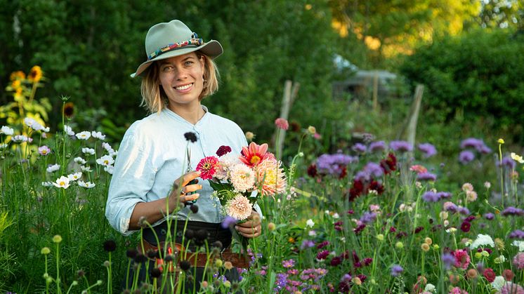 Linnea Dickson.jpg