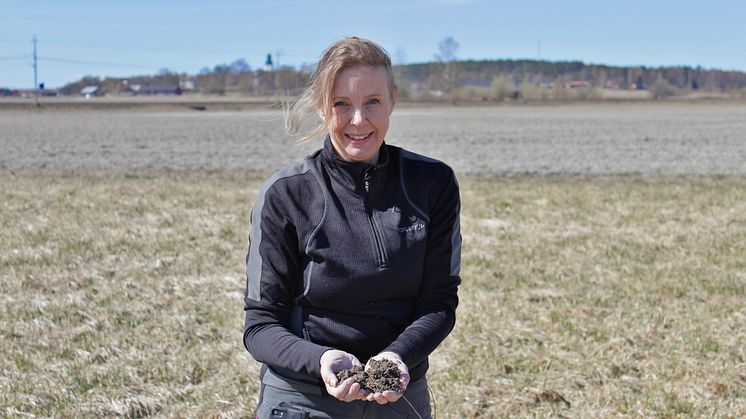 Anna Bjuréus, rådgivare