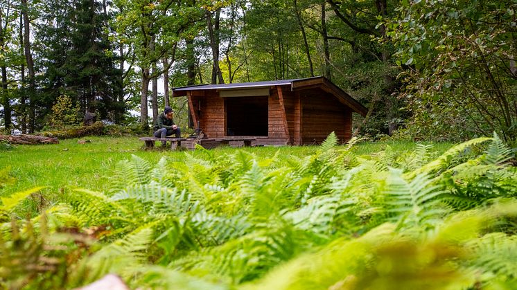 Naturens_kraft_vindskydd
