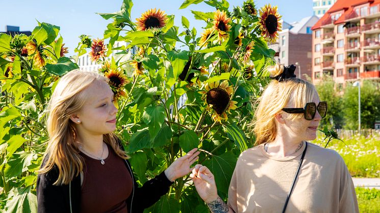 Hyllie kommer att ha cirka 300 barn i åk 7-9 år 2024.  Foto: Miriam Preis