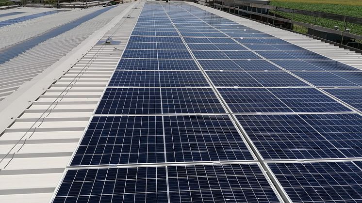 PV solar panels that will help Hitachi Rail cut 7,000 tonnes of CO2 emissions per year
