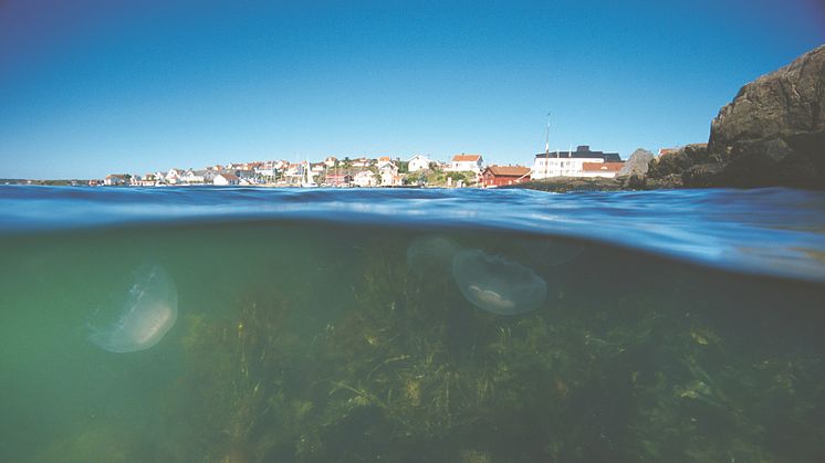 Pressinbjudan: Kommunerna som är bäst på klimatanpassning