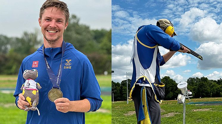 Svenskt ES-brons i lerduvegrenen trap