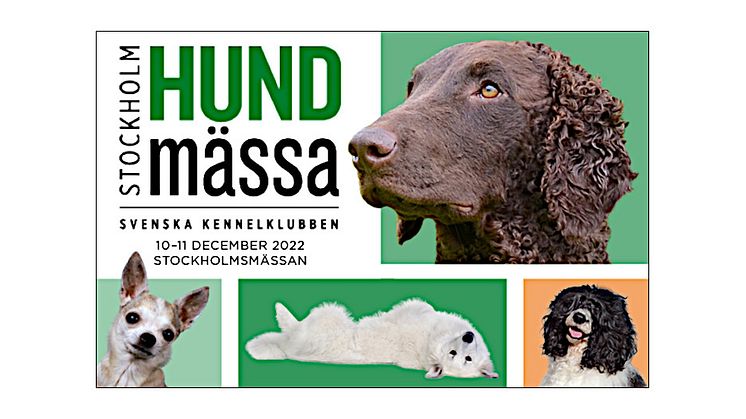 Välkommen till Stockholm Hundmässa på årets hundfest!