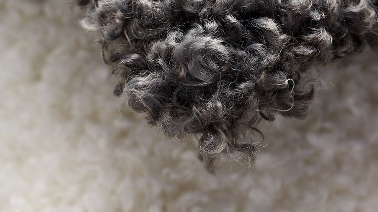 prydnadskudde_ullis_gra_vit_closeup