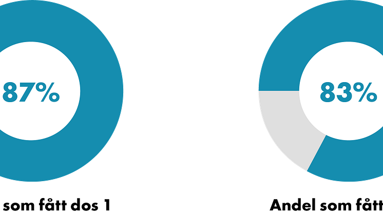 211015_Cirkel andel.png