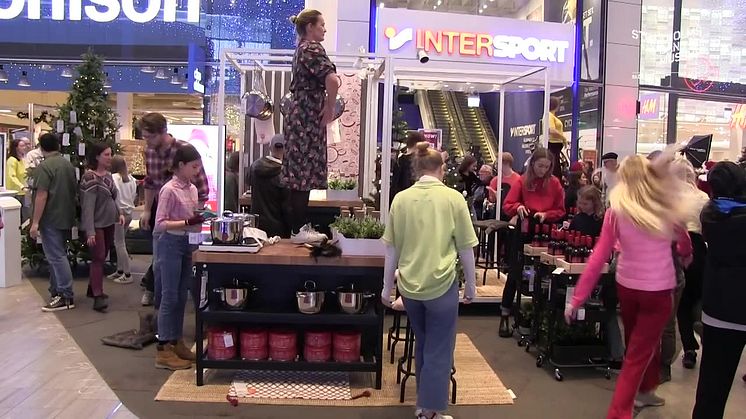 Stockholms läns museums flashmob i Kungens kurva 7 dec 2019