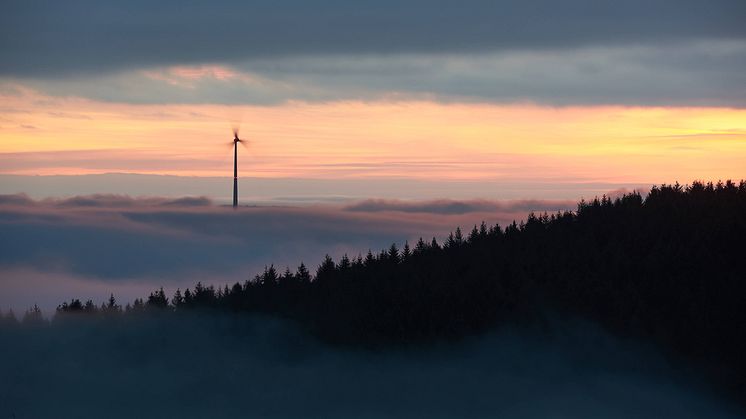 Europaforum Norra Sverige vill se förbättringar i EU:s direktiv om förnybar energi