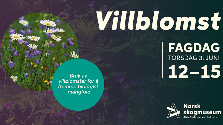 Ved å øke egen og andres kunnskap om villblomster ønsker Anno Norsk skogmuseum å bidra til biologisk mangfold.