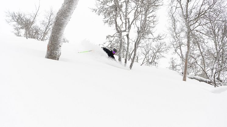 Nytagen bild från Trysil