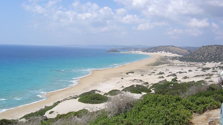 Golden beach