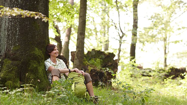 Wandern war im Weserbergland auch zu Zeiten des Lockdowns in 2020 beliebt