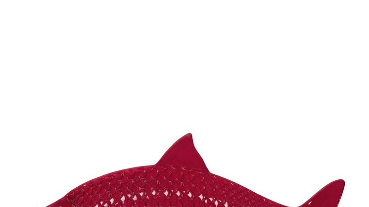 BYON AW24
