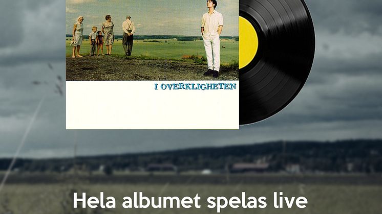 Ulf Stureson Debaser Stand