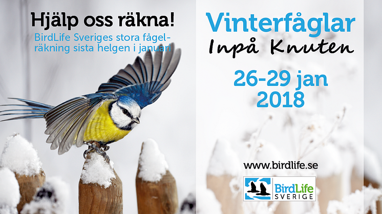 Var med och räkna vinterfåglarna den 26-29 januari 2018. 