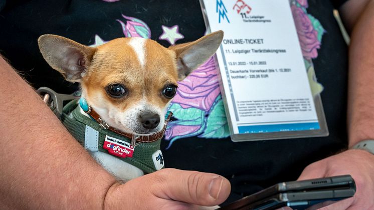 Der Leipziger Tierärztekongress ist die größte Fortbildungsveranstaltung für Tierärzte im deutschsprachigen Raum - Foto: Leipziger Messe/Tom Schulze