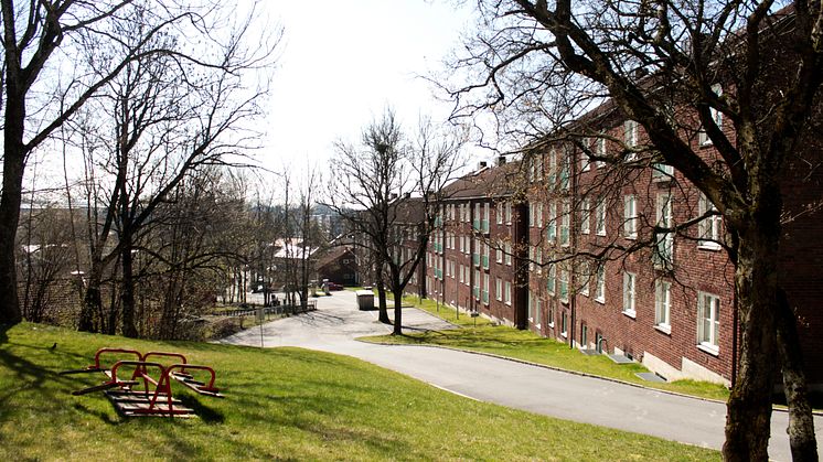 Sogn Studentby