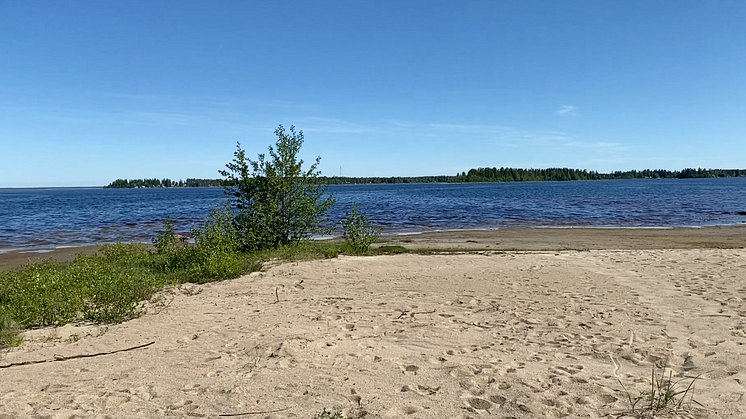 IsoTimber - Anja - Filippa - Strand