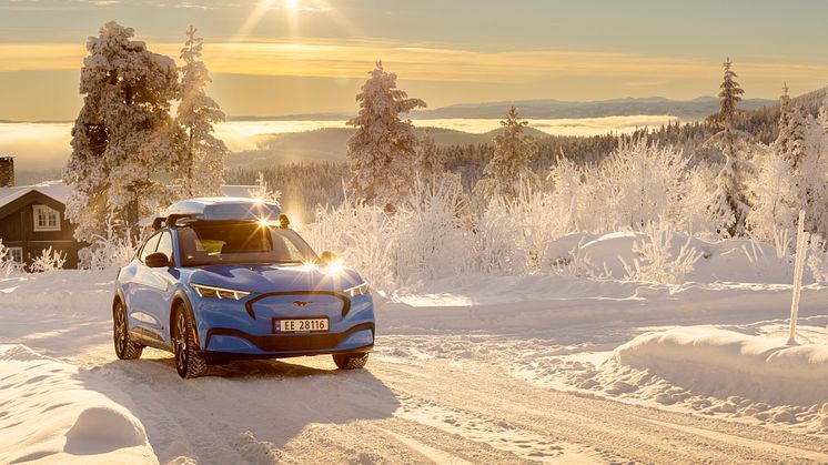 Ford Mustang Mach-E Vinter 2022