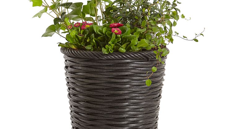 Vårplantering