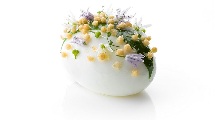 Bocuse-d'Or_2018_Garnityr_SG_Hen-Egg