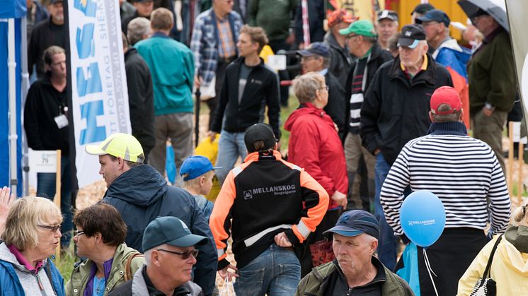 MellanskogsElmia_2016