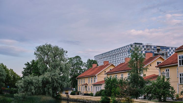 Foto: Micke Sandström