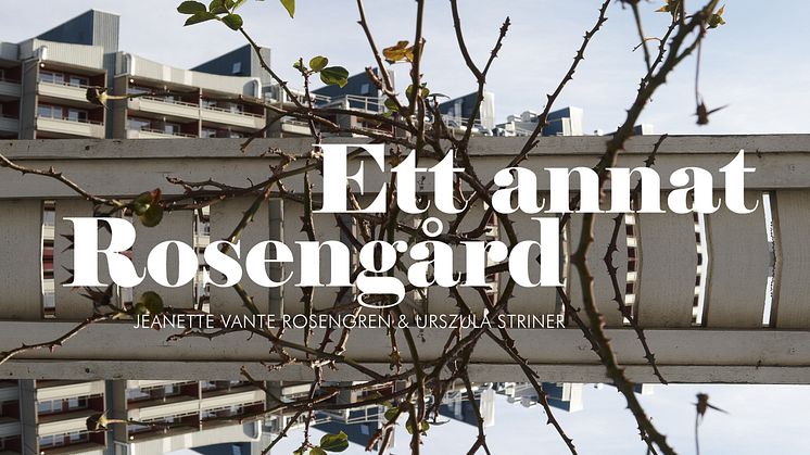Ett annat Rosengård av Jeanette Rosengren och Urszula Striner