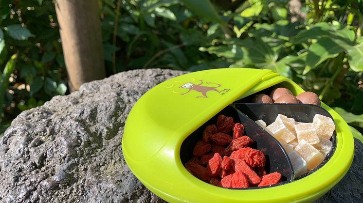 Mellanmålslåda, SnackDISC