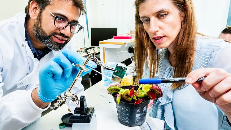 Plant electrophysiology 1