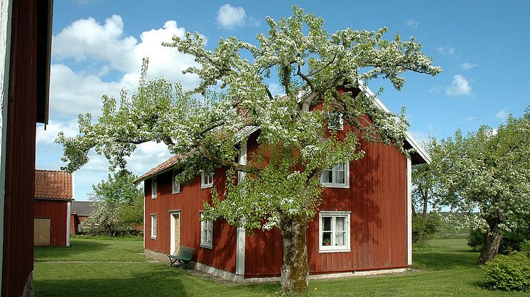 Mangårdsbyggnaden i kulturreservatet Vallby Sörgården. Foto: Sigun Gröning