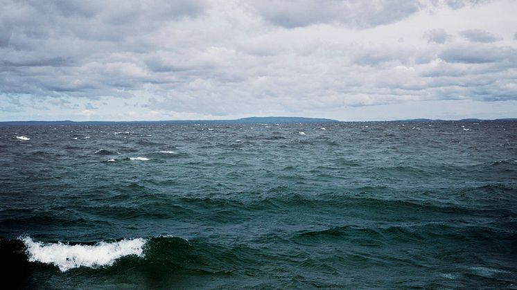 Havsvågor