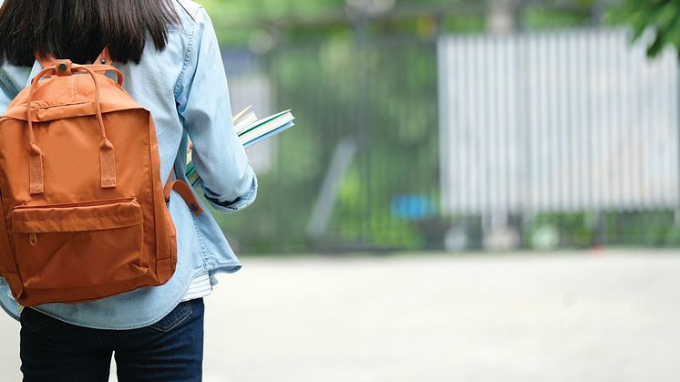 PMO Journal elevhälsa journalöverföring