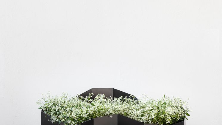 Johanna Palm - Urbana landskap