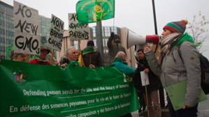 Anti-vetenskapliga demonstranter