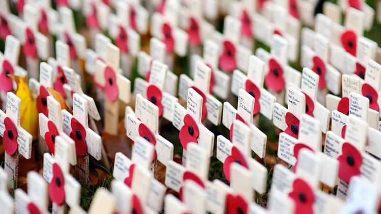 University to explore social isolation and loneliness among war widows