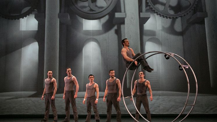 Cirkopolis