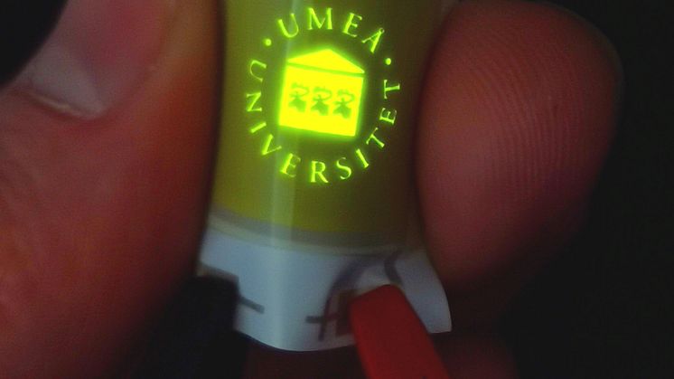 The bright LEC device with the logo of Umeå University is extremely thin, flexible and lightweight. Photo: Xiaoying Zhang and Joan Ràfols-Ribé