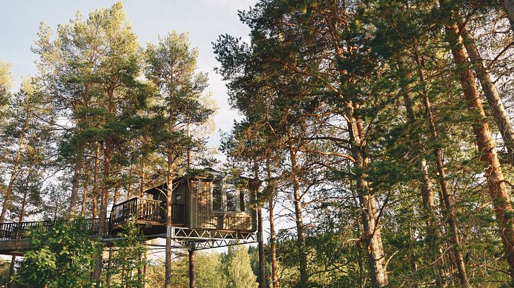 Granö Beckasin