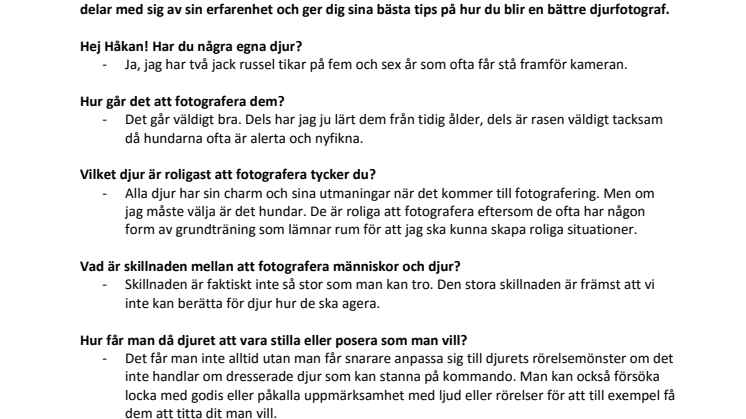Så blir du en bättre djurfotograf