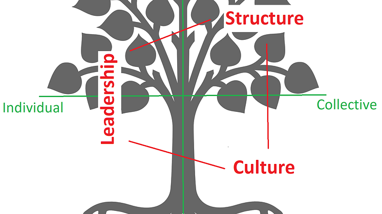 Ken Wilber's Tree metaphor model called AQAL (All Quadrants All Levels)