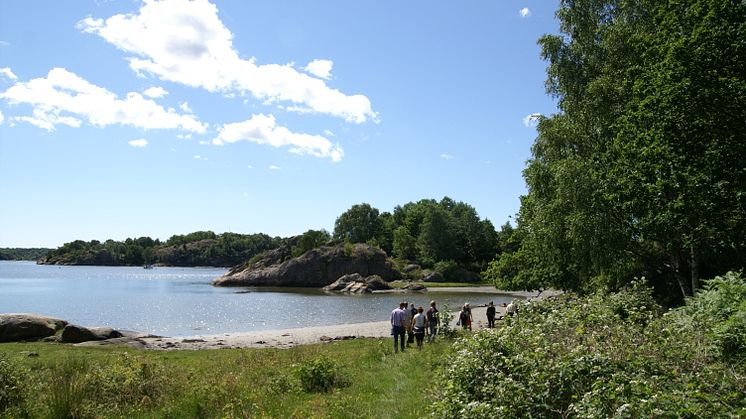 ​Tydligare miljöarbete med ISO 14001