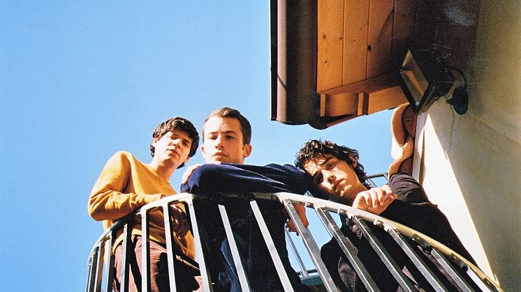 Wallows